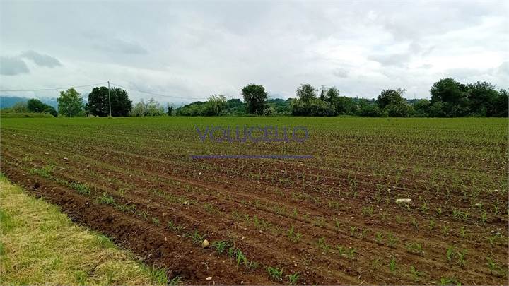CANTU' periferia vendiamo TERRENO AGRICOLO